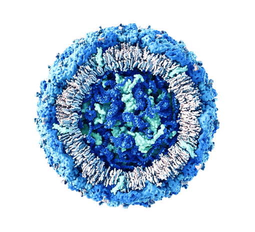 Аутоиммунные заболевания